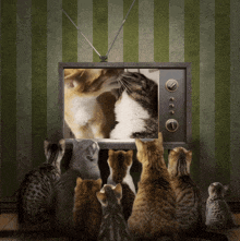 GIF