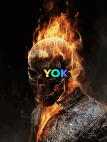 Yok Ghost GIF - Yok Ghost Rider GIFs