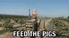Feed The Pigs Yoots GIF - Feed The Pigs Yoots Y00ts GIFs