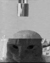 a black and white photo of a cat with a faucet in its head .