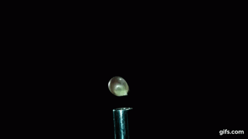 Popcorn Popping GIF - Pop - Discover & GIFs