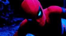 Real Spidey Look GIF - Real Spidey Look Staring GIFs