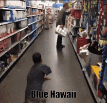 Blue Blue Hawaii GIF - Blue Blue Hawaii Jojolion GIFs