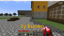 a screenshot of a minecraft game with the words ty kurwo on the screen