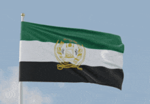 a green white and black flag with a gold emblem