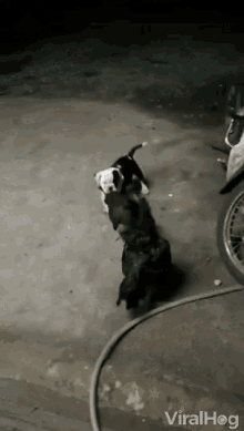 Breaking Up Fight Trying To Help GIF