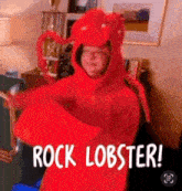 a man in a lobster costume says rock lobster !