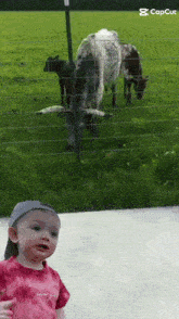 a baby is standing in front of a fence with a cow in the background and the caption capcut