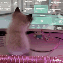 Cat Pc Tbh GIF - Cat Pc Tbh GIFs