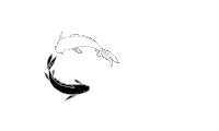 a black and white drawing of two fish on a white background