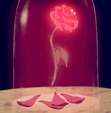 She Loves Me She Loves Me Not GIF - She Loves Me She Loves Me Not Beauty And The Beast GIFs