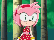 Sonic X Amy GIF - Sonic X Amy Bikini GIFs