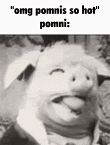 Pig Pomni GIF