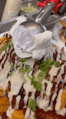 Bbq Cheese Fries Loaded Fries GIF - Bbq Cheese Fries Fries Loaded Fries GIFs