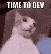 a cat sitting on a couch with the words `` time to dev '' written on it .