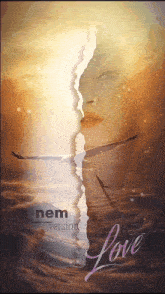 a poster that says nem version love with a woman in the water