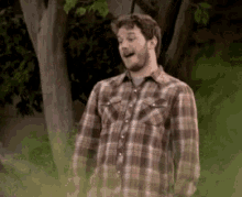 a man in a plaid shirt is standing in the woods