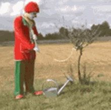 a clown is watering a small tree with a watering can .