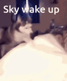 Sky Wake Up GIF - Sky Wake Up GIFs