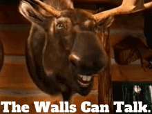 Montanas Moose GIF - Montanas Moose The Walls Can Talk GIFs