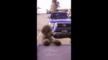 Finley Cars GIF - Finley Cars Bear GIFs