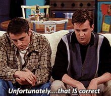 Friends Unfortunately GIF - Friends Unfortunately That Is Correct GIFs