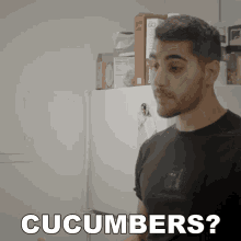 Cucumbers Rudy Ayoub GIF - Cucumbers Rudy Ayoub Is This A Cucumber GIFs