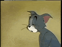 a cartoon cat is holding a camera in his hands and looking at it .