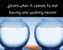 two fish bowls with the words " ijs 'ers when it comes to not having one working neuron " on the bottom