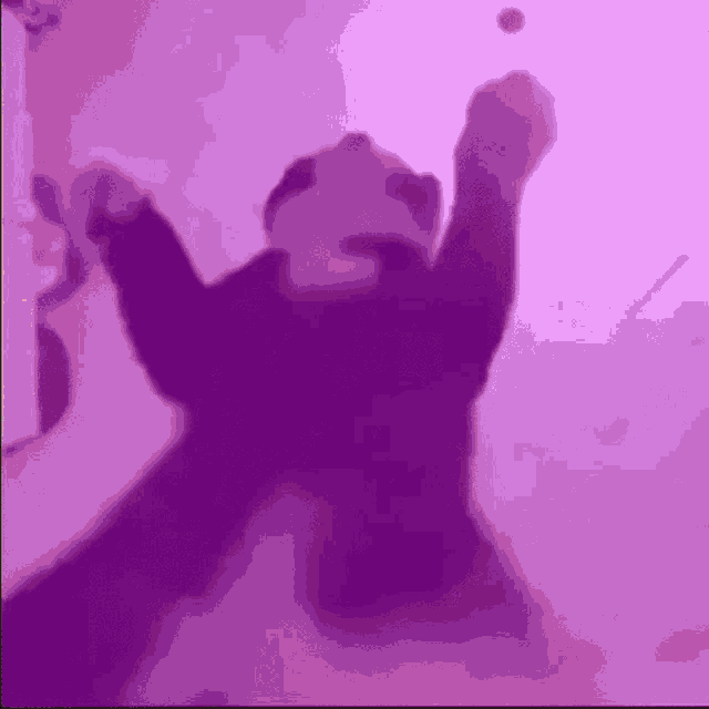 Yumex Sad Cat Dance GIF - Yumex Sad Cat Dance - Discover & Share GIFs