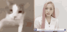 Gahyeon Cat GIF - Gahyeon Cat Dreamcatcher GIFs