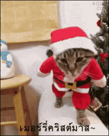 แมว เมอร์รี่คริสต์มาส GIF