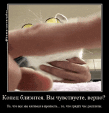 a picture of a cat being held by a person with russian writing on it