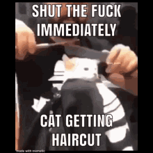 Khat Haircut GIF - Khat Haircut Shut Up GIFs