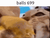 a close up of a person 's face with the words balls 698 written on it