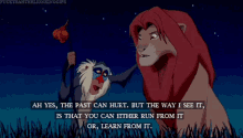 Lion King Hurt GIF - Lion King Hurt Run GIFs
