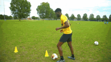 Soccer Training Abisola Balogun GIF - Soccer Training Abisola Balogun Sv2 GIFs