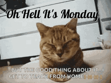 Monday Oh Hell Its Monday GIF