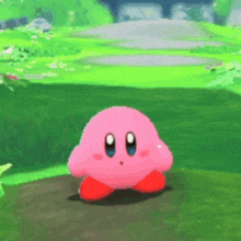 a cartoon character named kirby is standing in a green field .