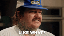 a man wearing a blue goose farm hat says " like what "