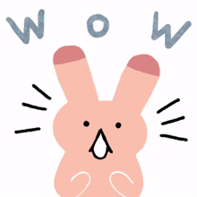 animal bunny rabbit cute wow animal bunny rabbit cute wow