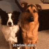 Hug Dogs GIF