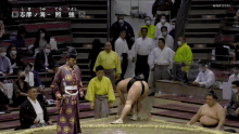 Sumo Sumo Wrestling GIF - Sumo Sumo Wrestling Terutsuyoshi GIFs