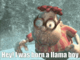 a cartoon character with the words hey i was born a llama boy on the bottom