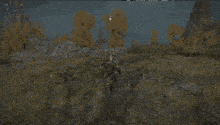 a person is standing in a field in a video game