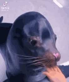 Seal Art GIF - Seal Art Cute GIFs
