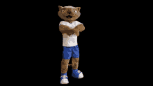 a mascot wearing a white shirt and blue shorts with his arms crossed