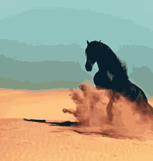 Horse Majestic GIF - Horse Majestic Desert GIFs