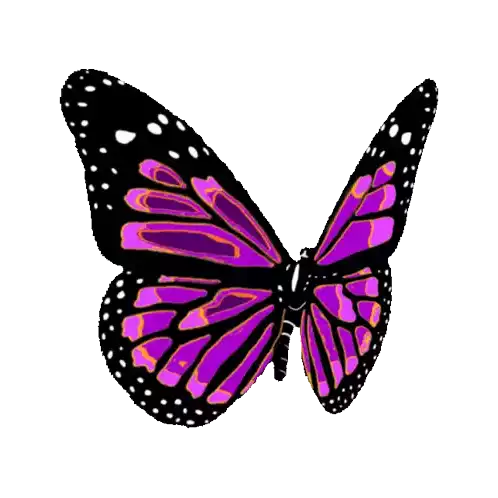 Butterfly Freedom Sticker - Butterfly Freedom Wings Stickers