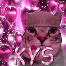 Kitsuki Kys GIF - Kitsuki Kys Silly Cat GIFs